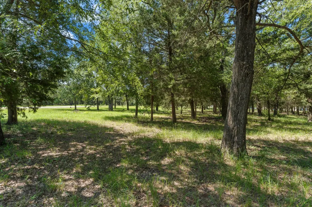 Sombrilla Kerens, TX 75144
