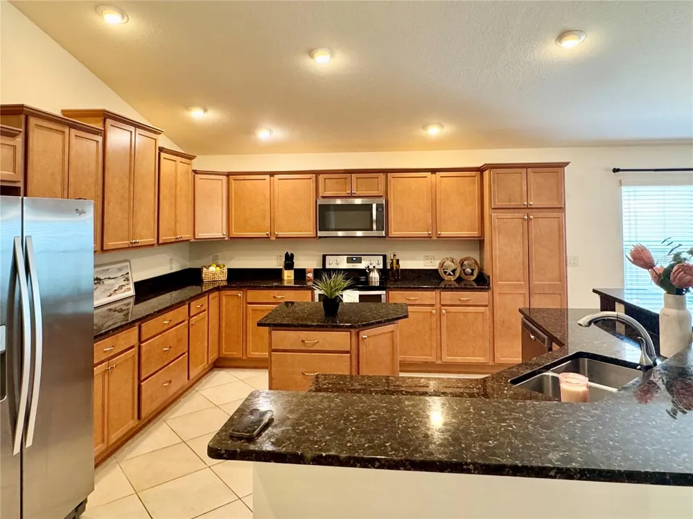 2931 CHARLEVOIX STREET The Villages, FL 32163