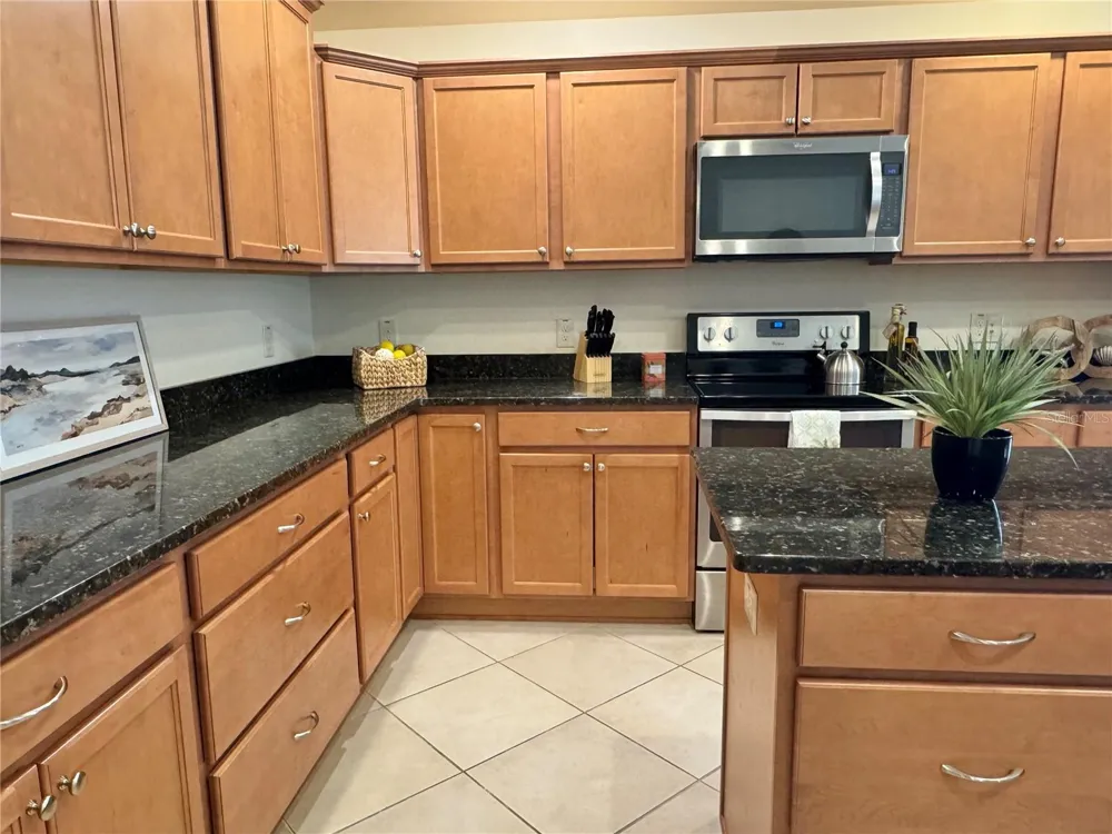 2931 CHARLEVOIX STREET The Villages, FL 32163