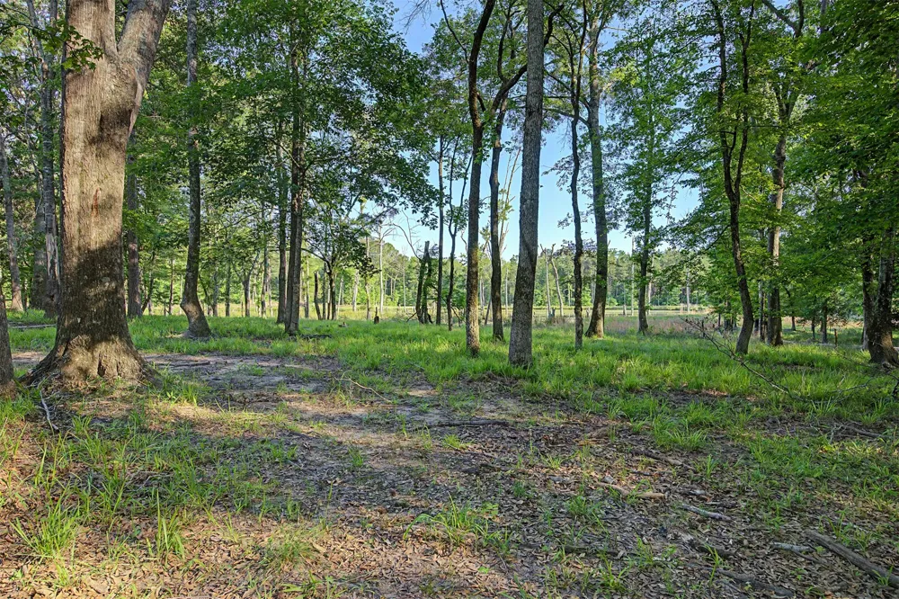 County Road 448 Carthage, TX 75633