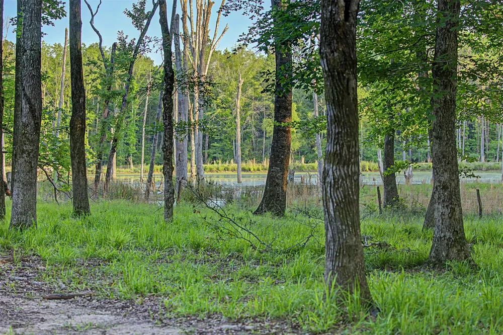 County Road 448 Carthage, TX 75633