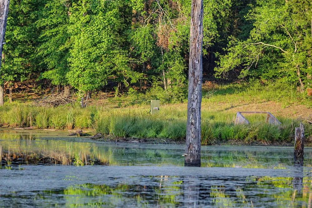 County Road 448 Carthage, TX 75633