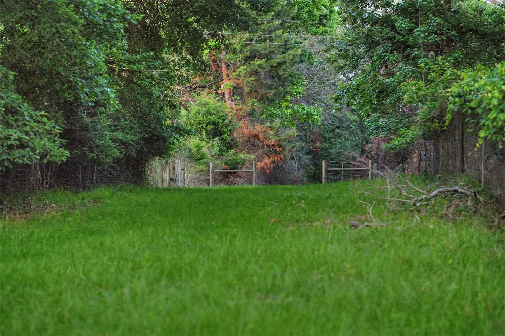 County Road 448 Carthage, TX 75633