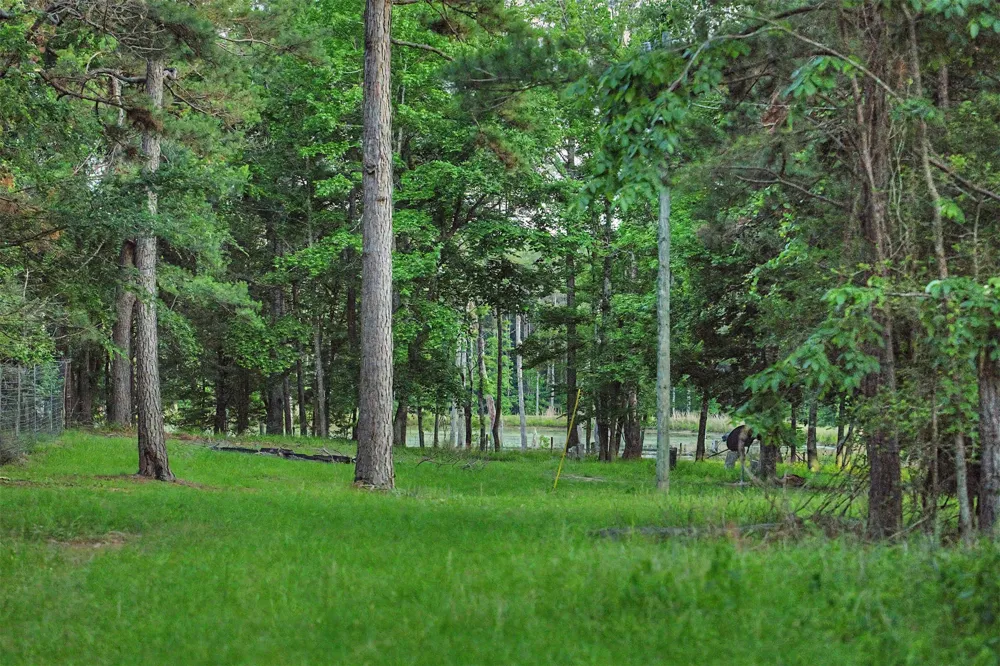 County Road 448 Carthage, TX 75633