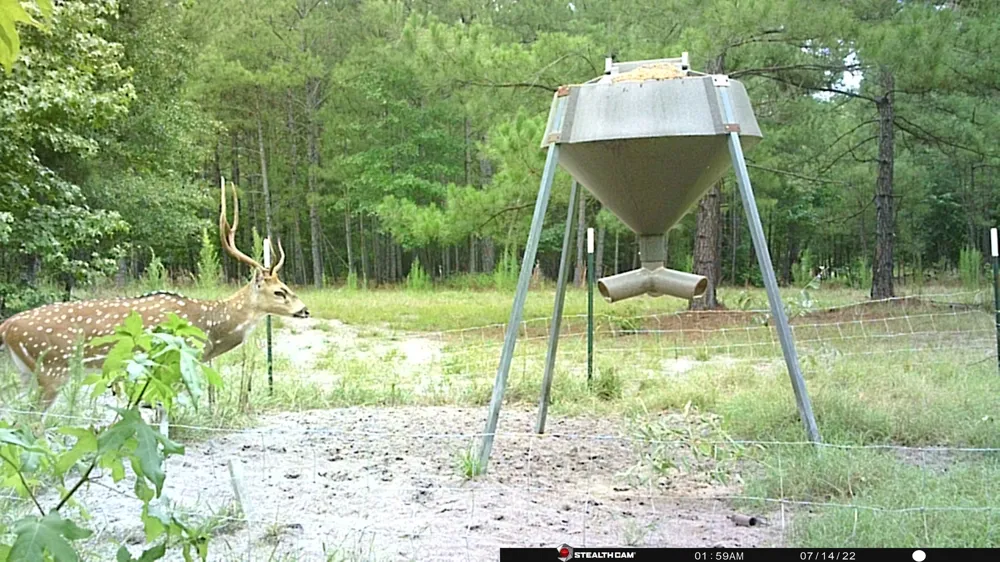 County Road 448 Carthage, TX 75633
