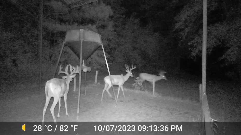 County Road 448 Carthage, TX 75633