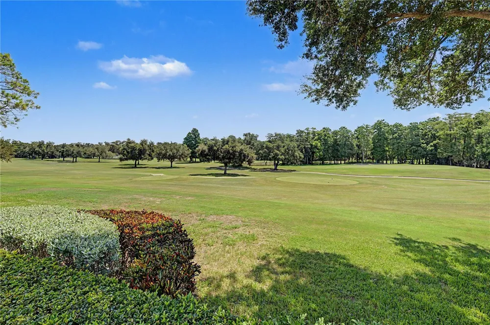 1306 PLAYMOOR DRIVE Palm Harbor, FL 34683