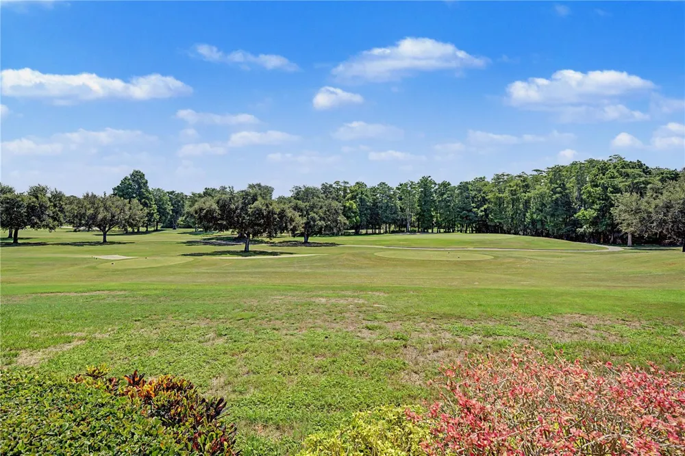 1306 PLAYMOOR DRIVE Palm Harbor, FL 34683