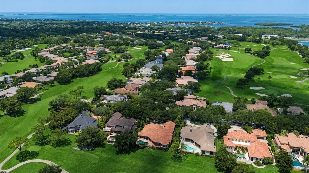 1306 PLAYMOOR DRIVE Palm Harbor, FL 34683