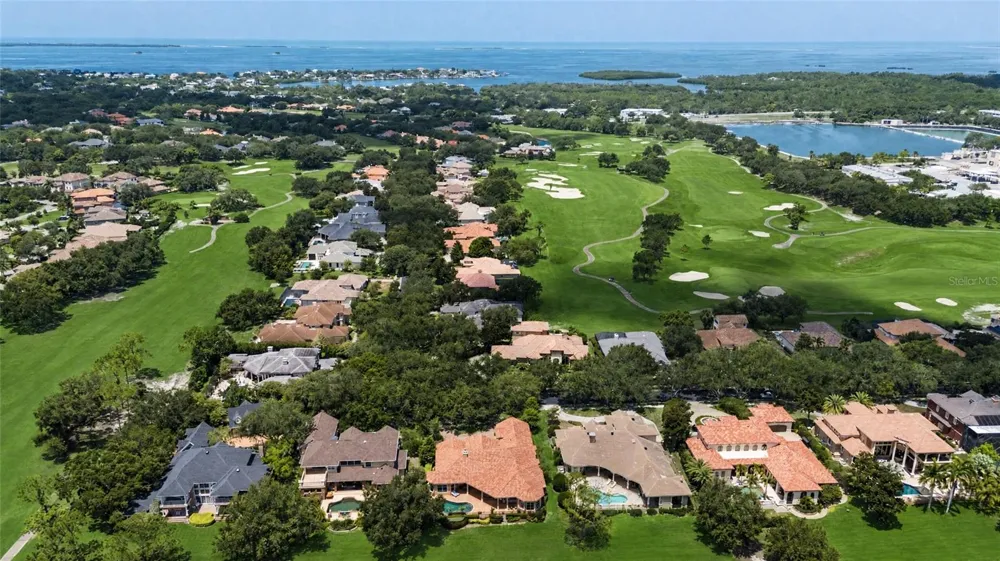1306 PLAYMOOR DRIVE Palm Harbor, FL 34683