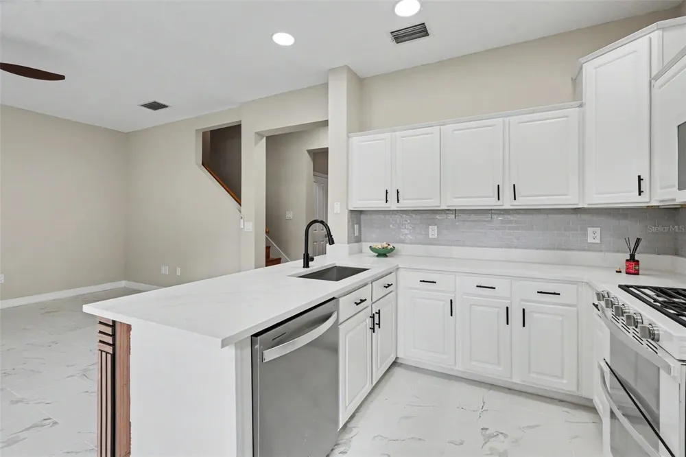 10111 HAYFIELD WAY Tampa, FL 33626