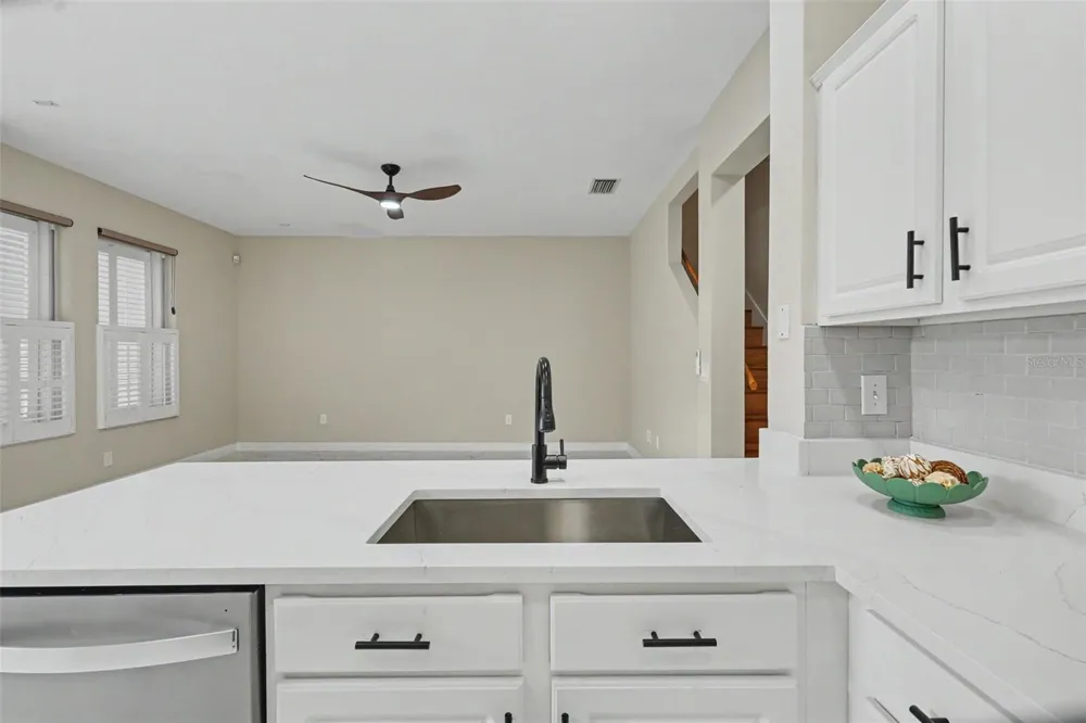 10111 HAYFIELD WAY Tampa, FL 33626