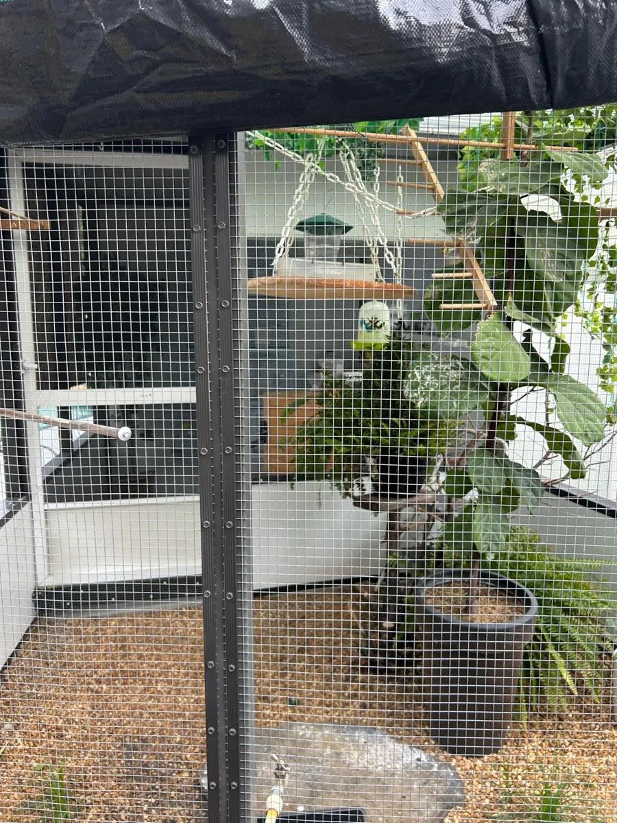 6503 DOVEWOOD PLACE Tampa, FL 33634