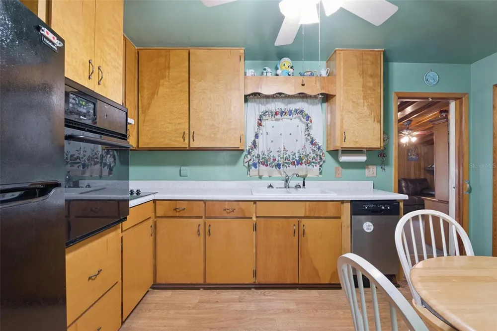 6832 OSWEGO DRIVE Mount Dora, FL 32757