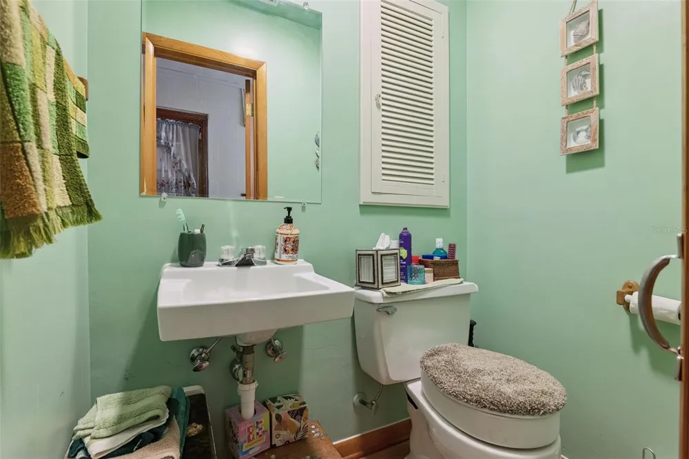 6832 OSWEGO DRIVE Mount Dora, FL 32757