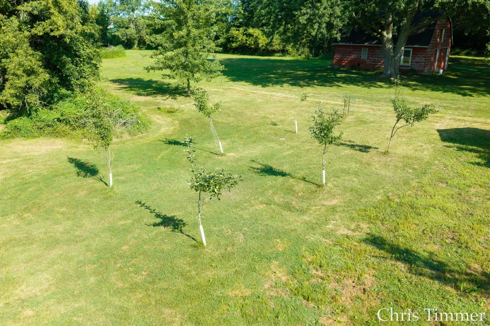 605 64th Avenue Zeeland, MI 49464