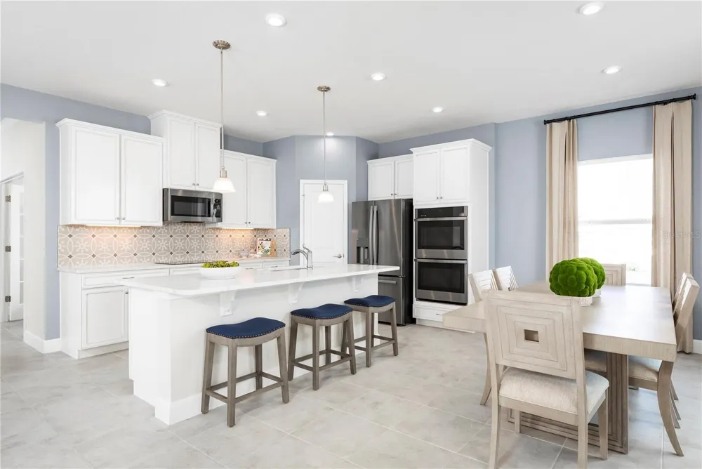 2437 WHITE LADYFISH ROAD Wimauma, FL 33598