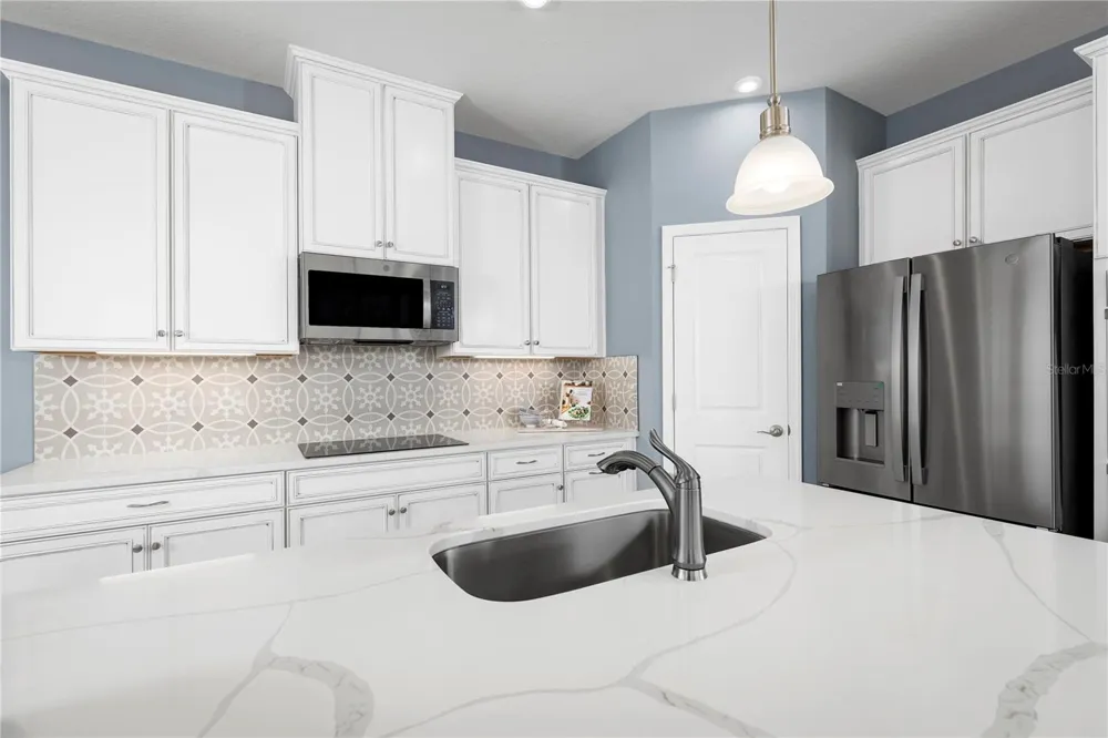 2437 WHITE LADYFISH ROAD Wimauma, FL 33598