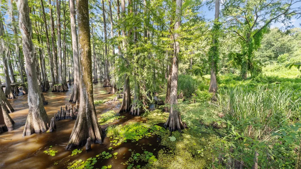 10129 Hudson Road Mooringsport, LA 71060