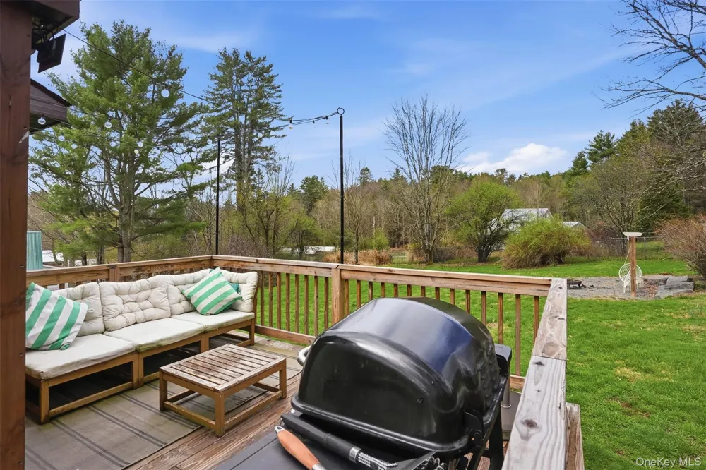 27 Old County Road Cochecton, NY 12726