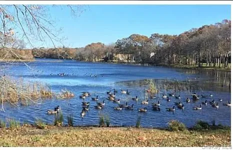 214 Artist Lake Drive Middle Island, NY 11953