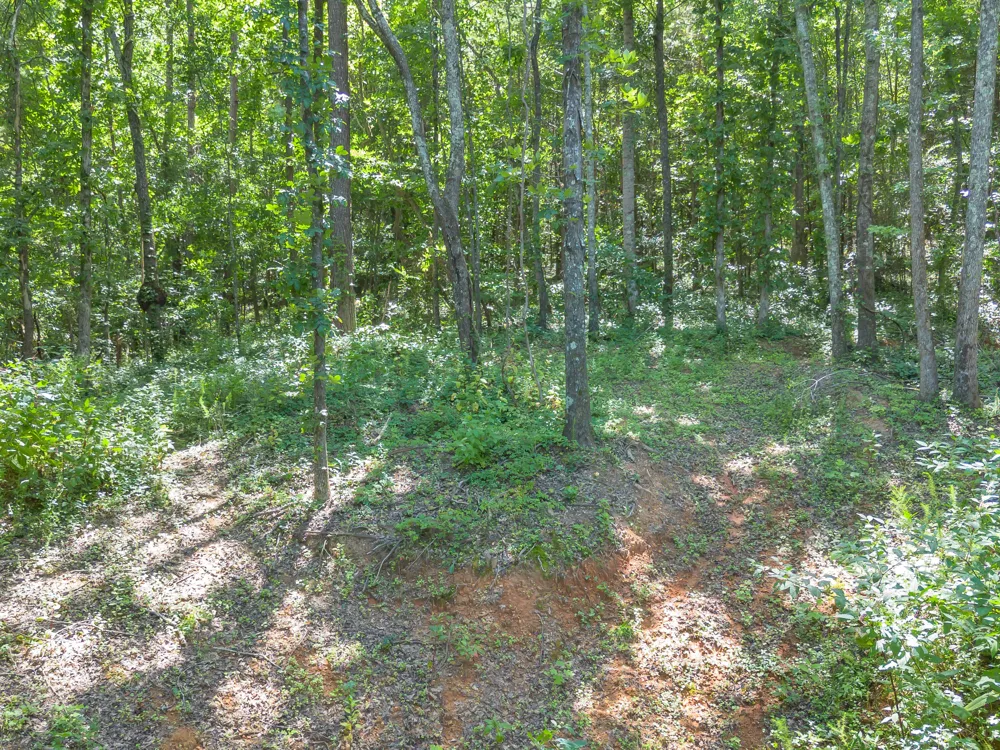 5545 Francis Springs Whitwell, TN 37397