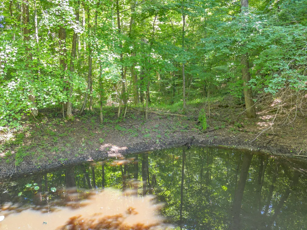 5545 Francis Springs Whitwell, TN 37397