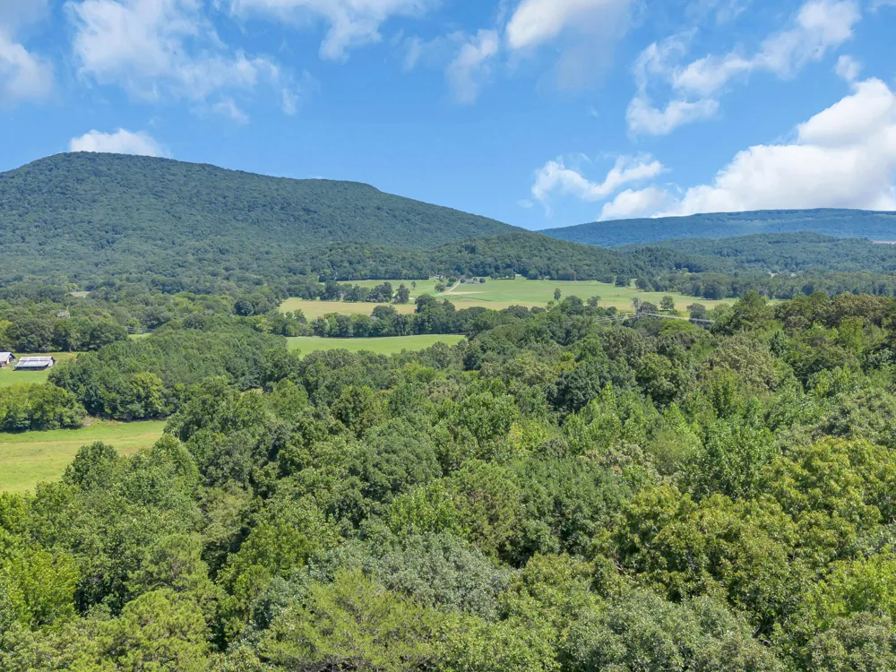 5545 Francis Springs Whitwell, TN 37397