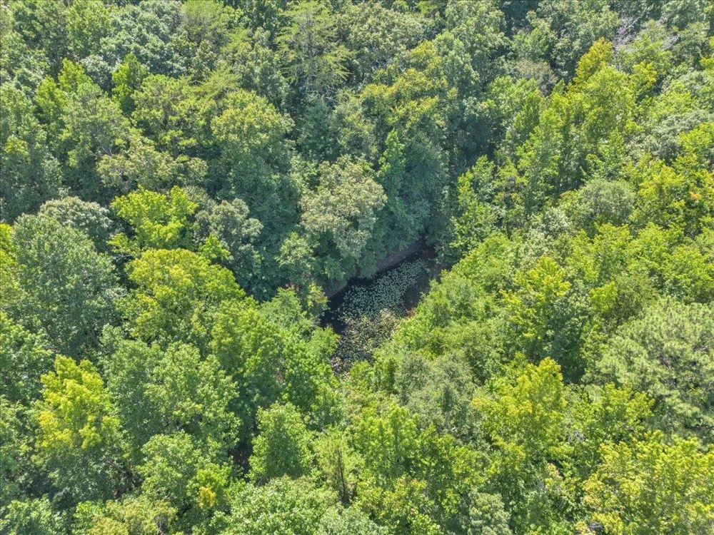 5545 Francis Springs Whitwell, TN 37397