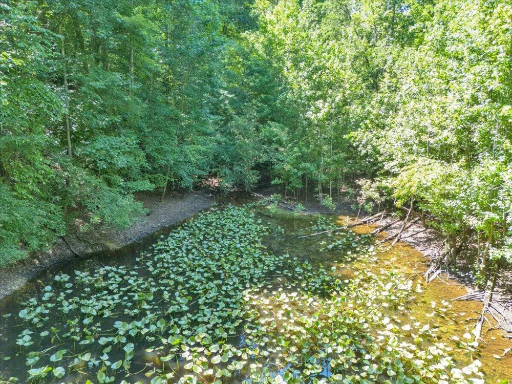 5545 Francis Springs Whitwell, TN 37397