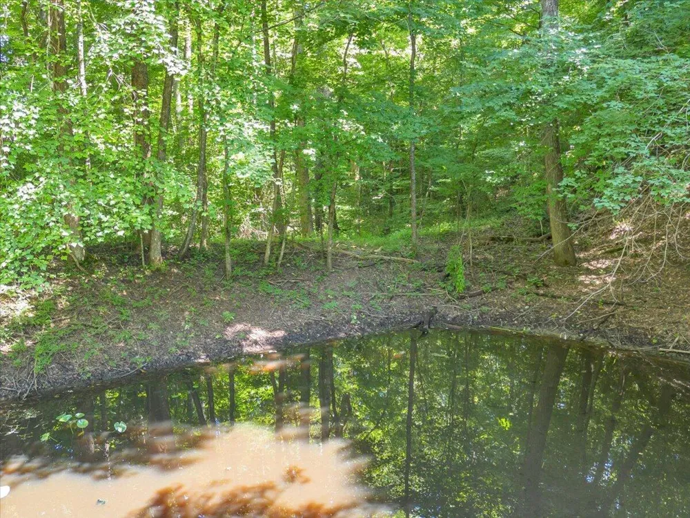 5545 Francis Springs Whitwell, TN 37397
