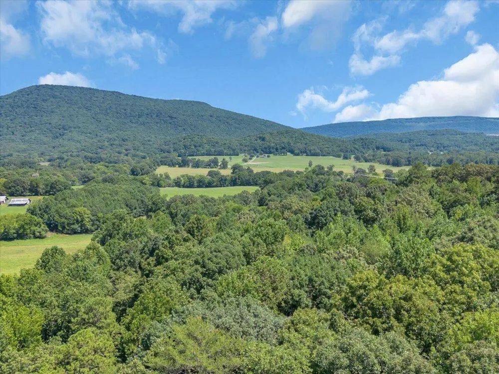 5545 Francis Springs Whitwell, TN 37397