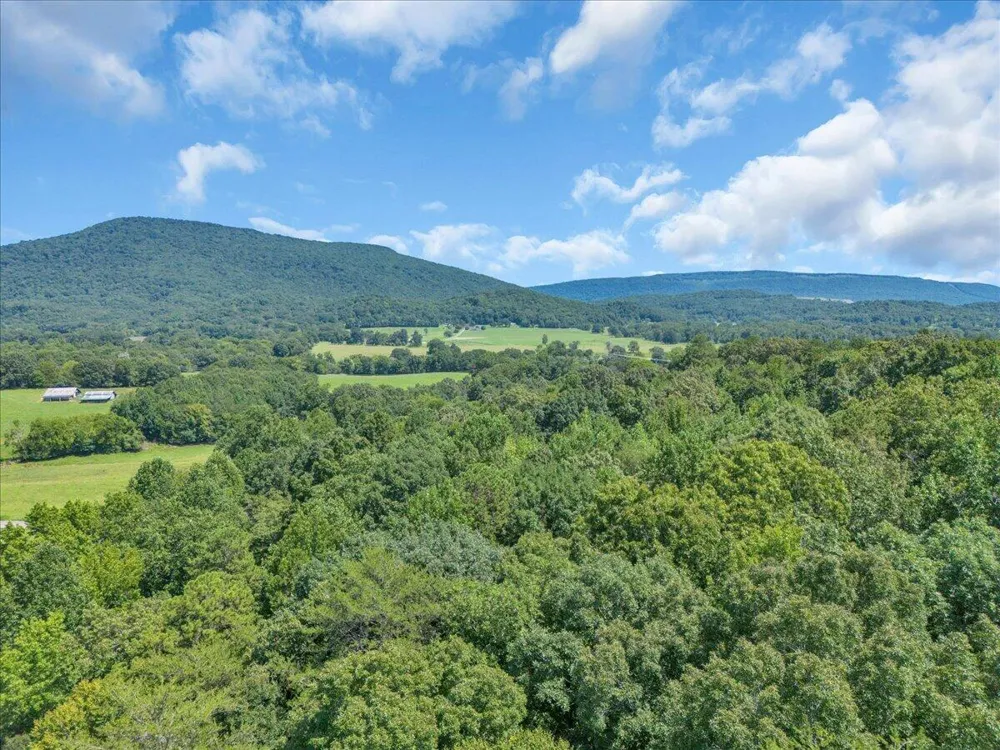 5545 Francis Springs Whitwell, TN 37397