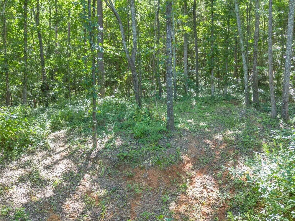 5545 Francis Springs Whitwell, TN 37397