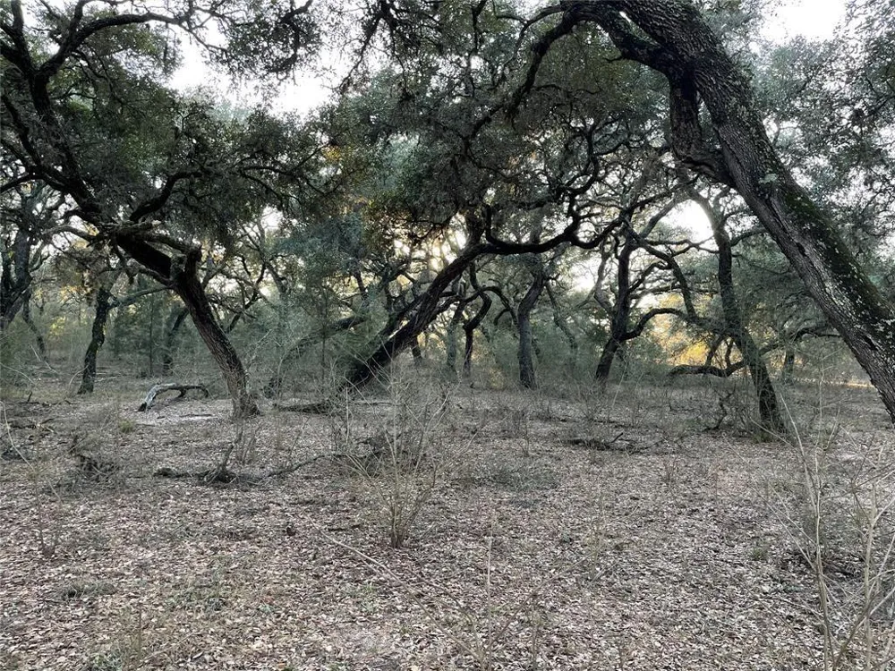 516 County Road 120 Hallettsville, TX 77964