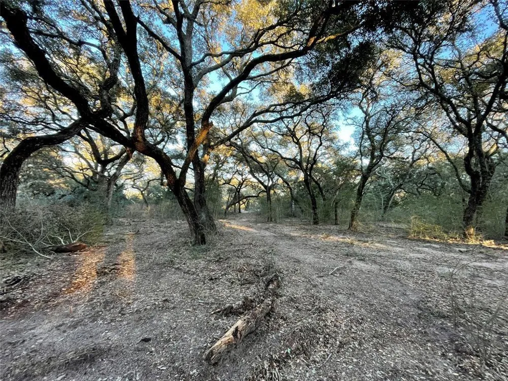 516 County Road 120 Hallettsville, TX 77964