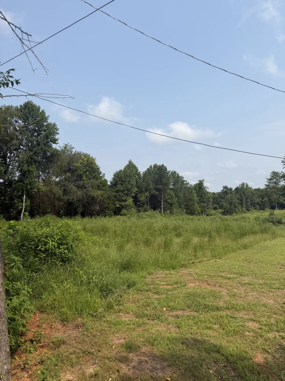 0 AEDC Lakeview Rd Estill Springs, TN 37330