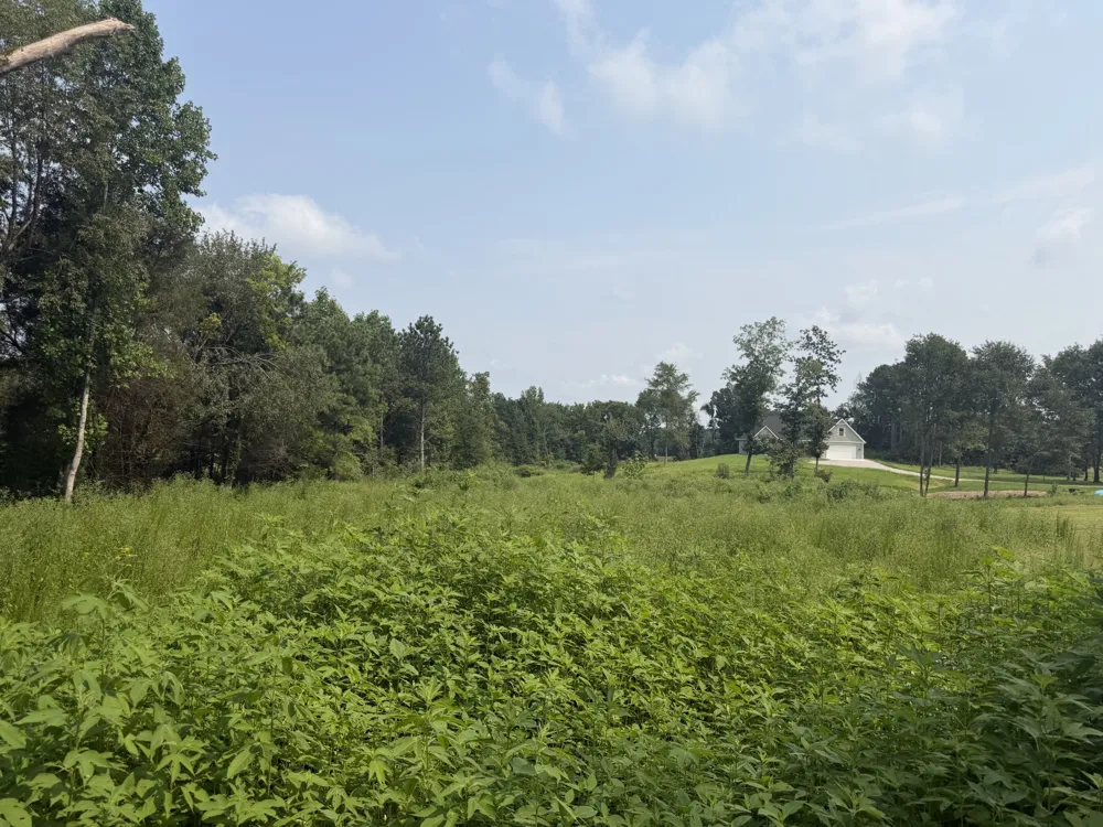 0 AEDC Lakeview Rd Estill Springs, TN 37330
