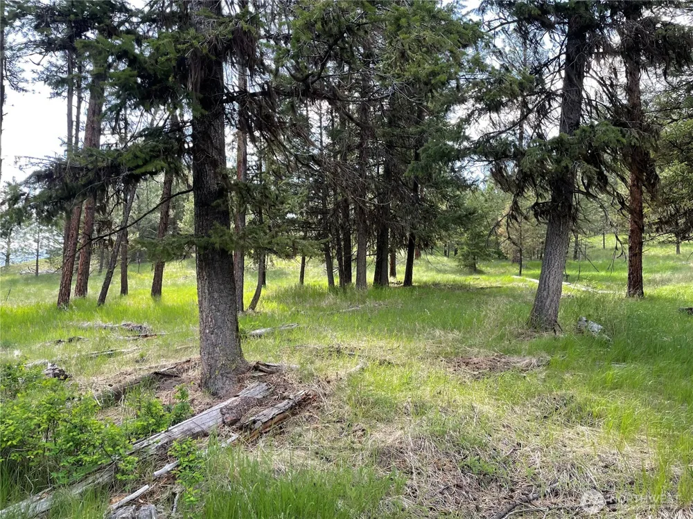 111 TBD Sunrise Rd Oroville, WA 98844
