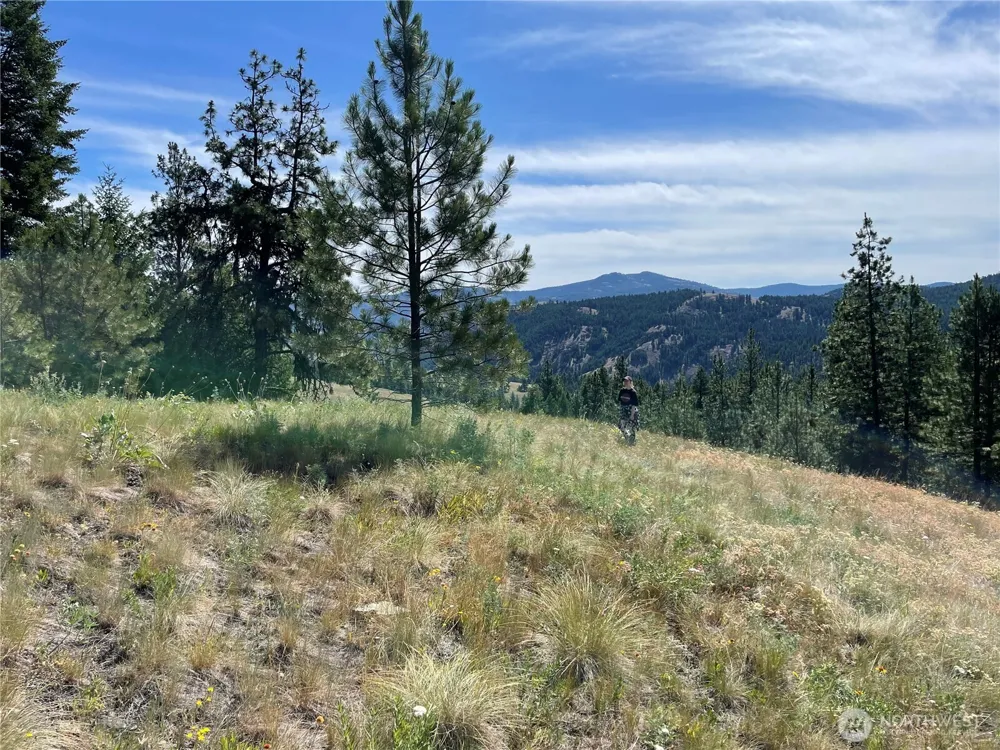 111 TBD Sunrise Rd Oroville, WA 98844