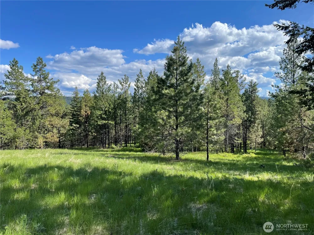 111 TBD Sunrise Rd Oroville, WA 98844