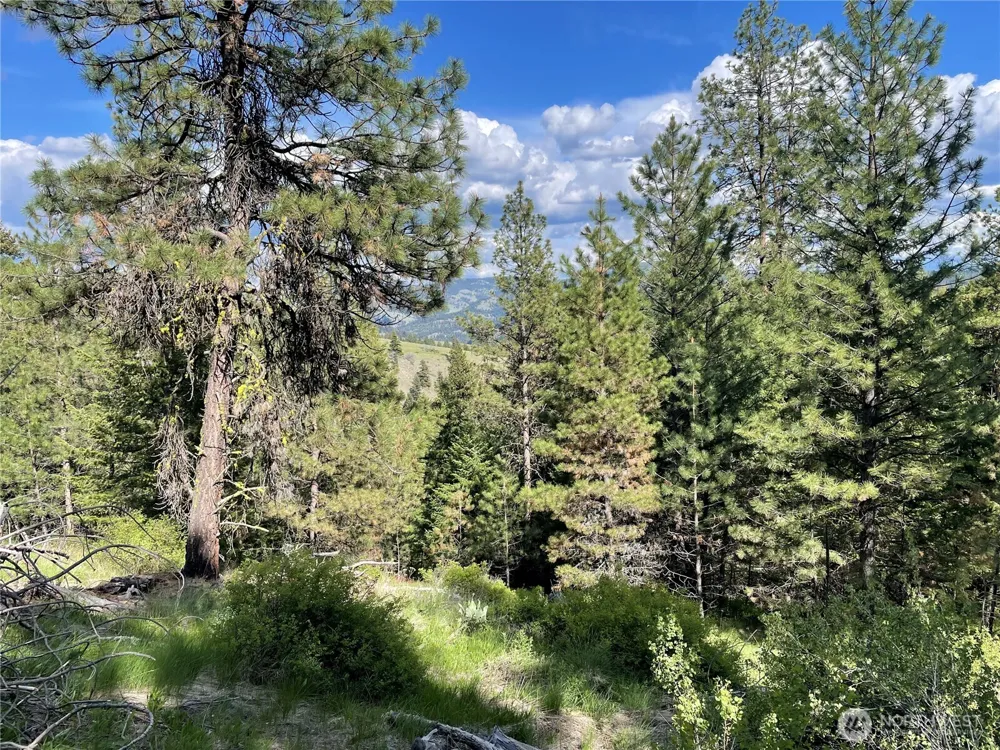 111 TBD Sunrise Rd Oroville, WA 98844