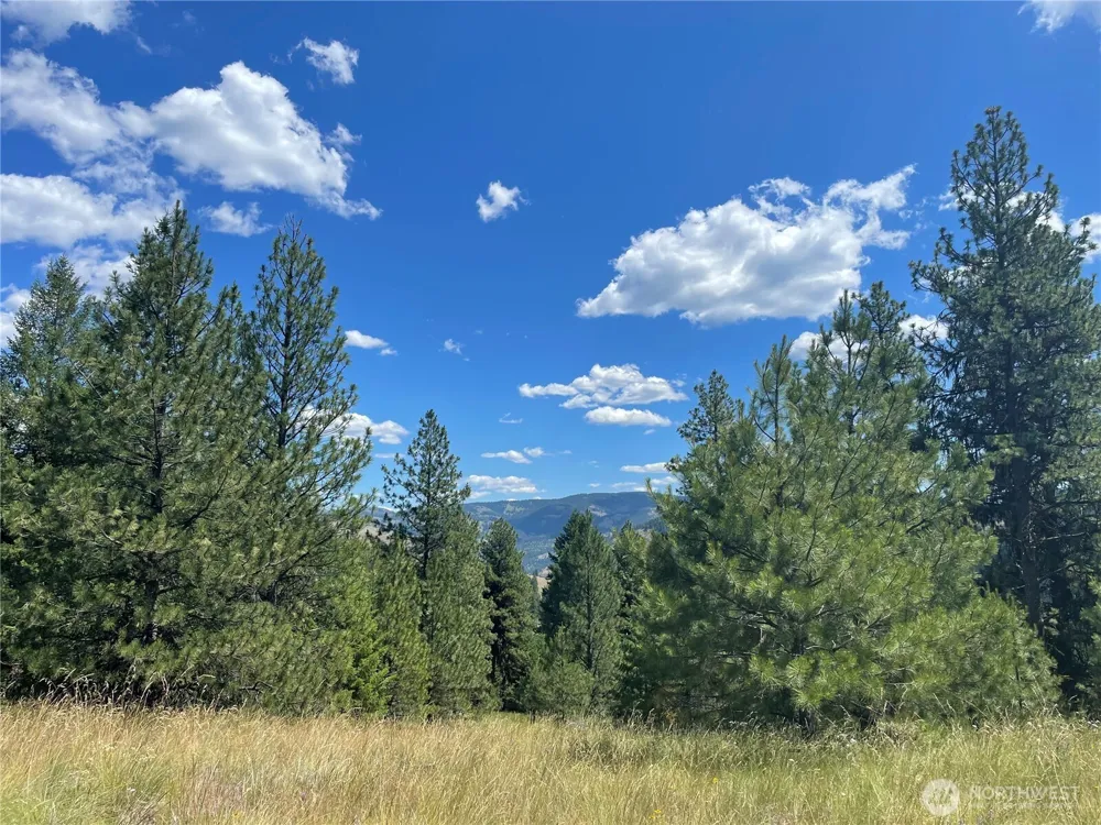 111 TBD Sunrise Rd Oroville, WA 98844