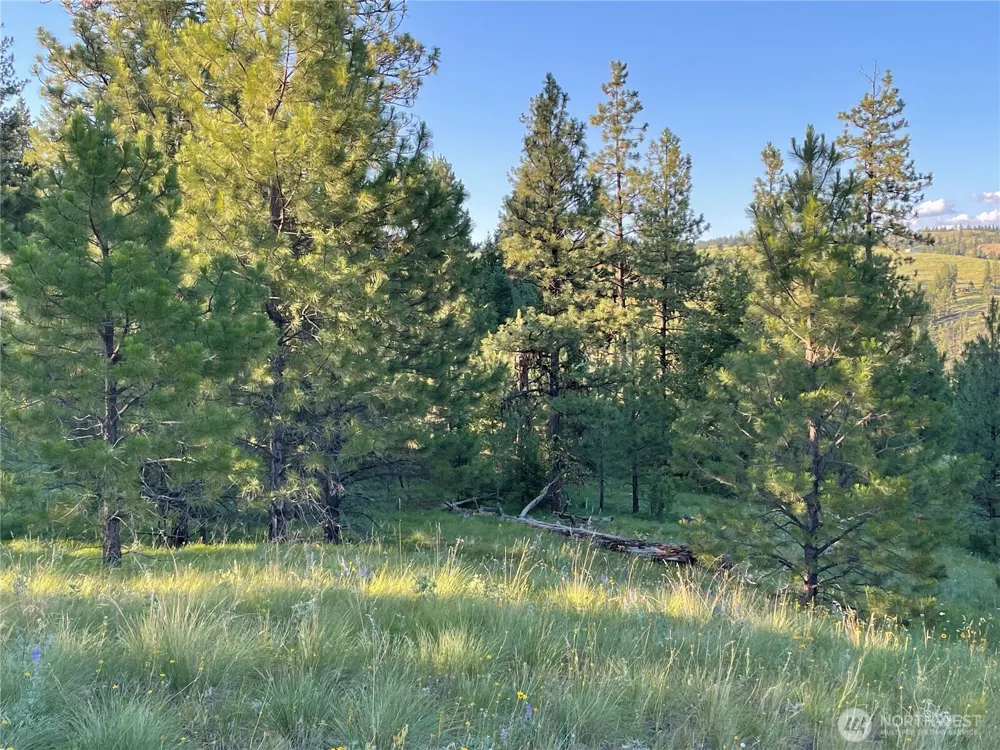111 TBD Sunrise Rd Oroville, WA 98844