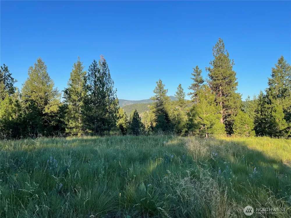 111 TBD Sunrise Rd Oroville, WA 98844