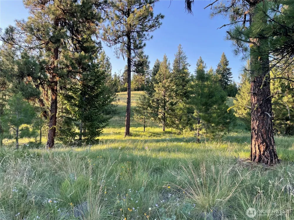 111 TBD Sunrise Rd Oroville, WA 98844