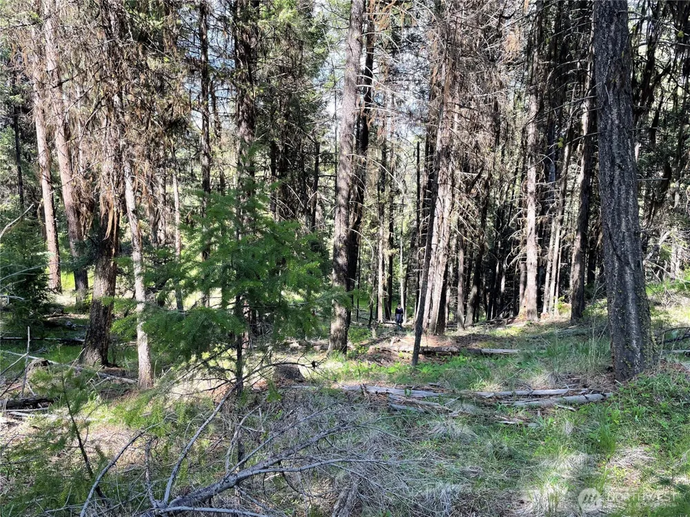 111 TBD Sunrise Rd Oroville, WA 98844