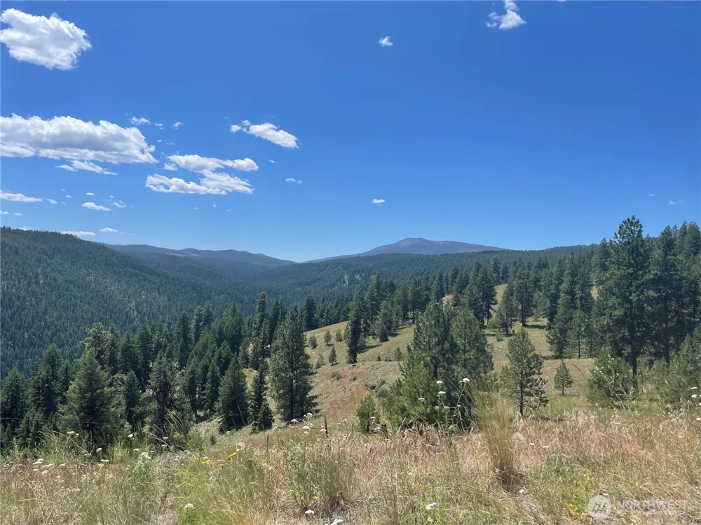 112 TBD Sunrise Rd Oroville, WA 98844