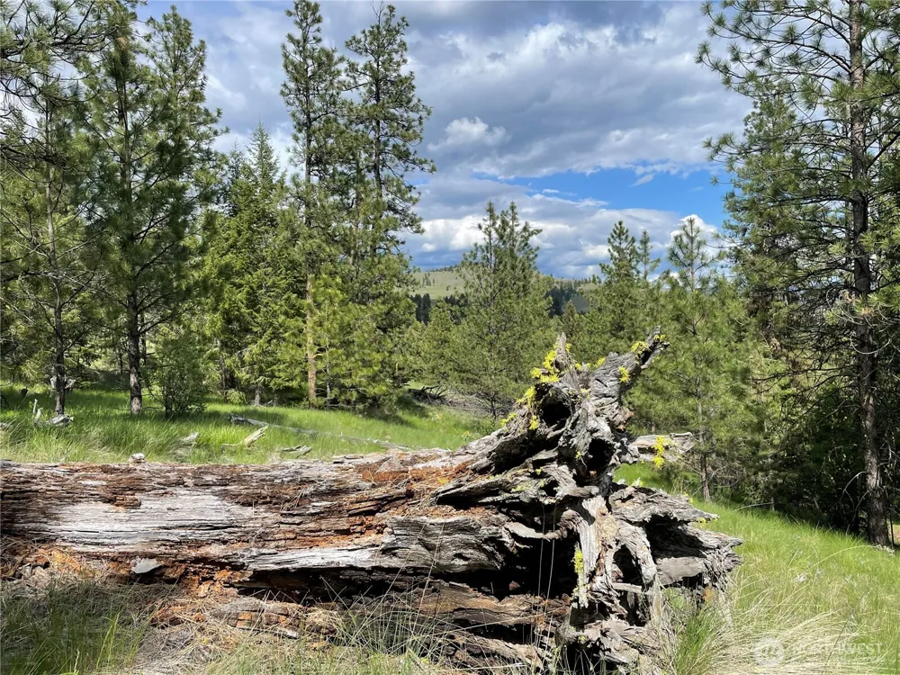 112 TBD Sunrise Rd Oroville, WA 98844