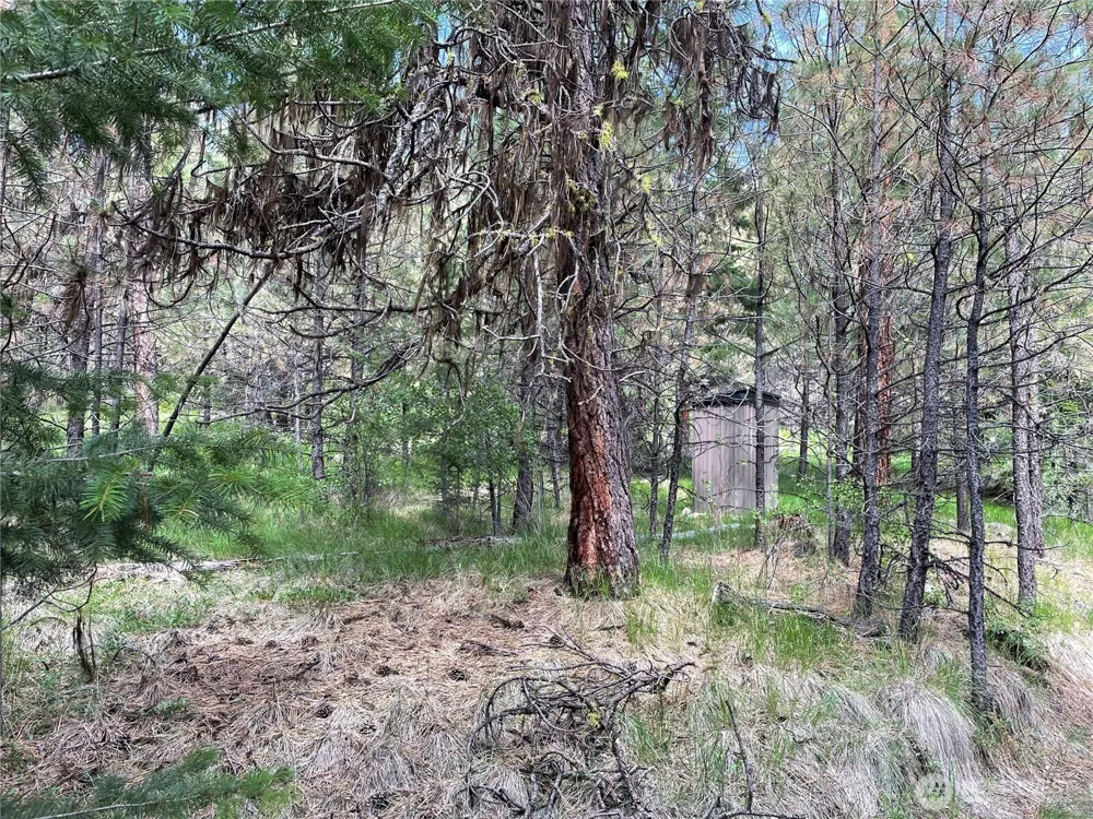 112 TBD Sunrise Rd Oroville, WA 98844